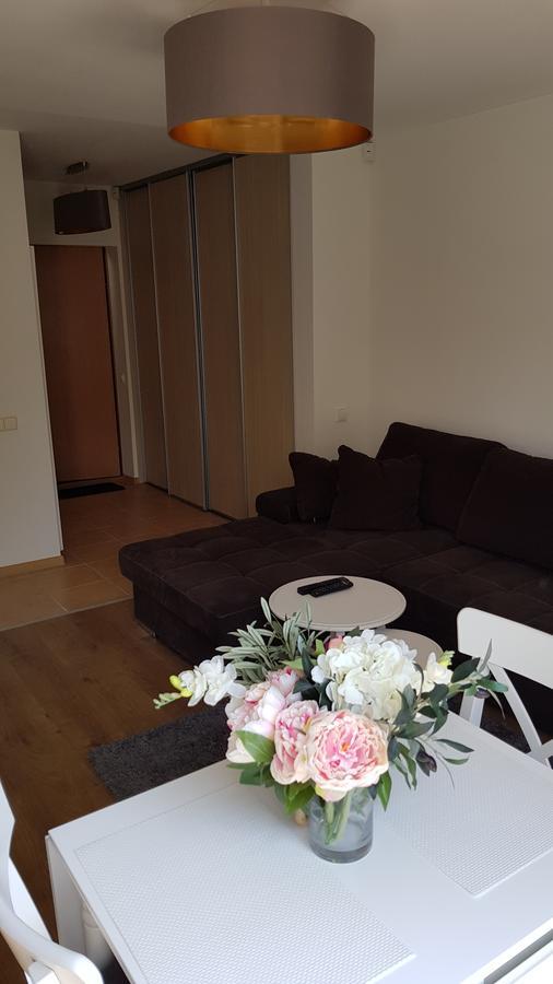 Cozy Garden Free Parking Apartment VNO Exterior photo